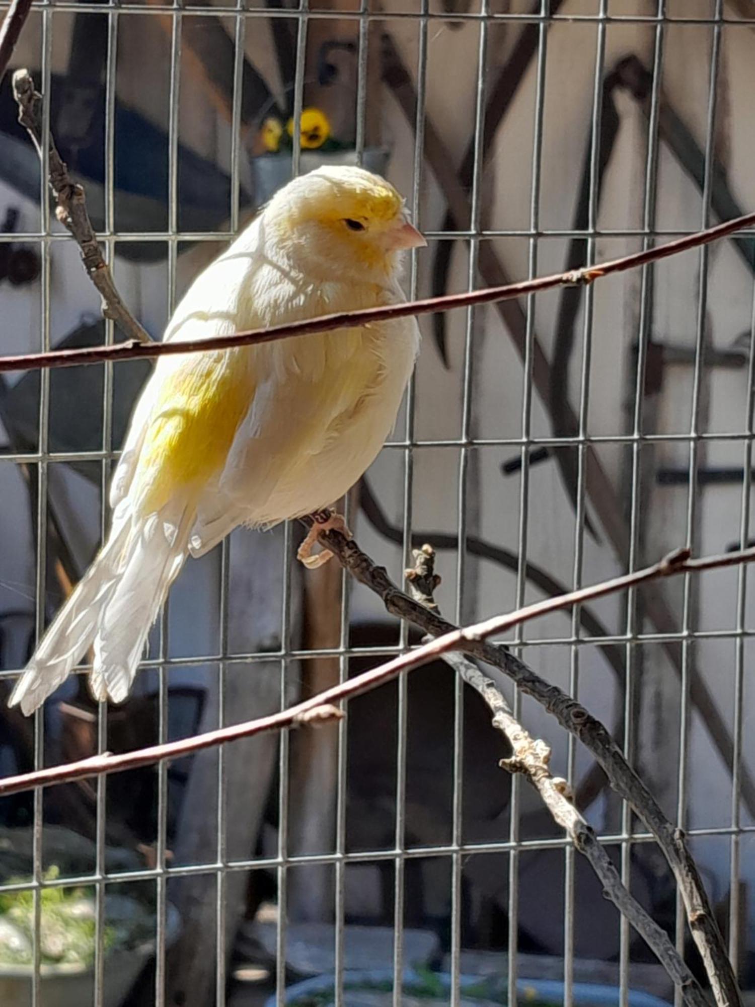 Pokoje Gościnne Skalnik Kostrzyn nad Odra Zewnętrze zdjęcie